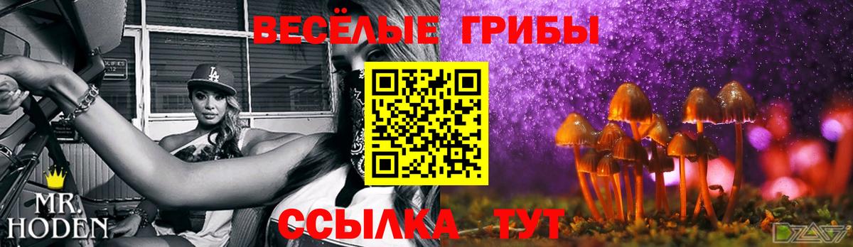 Галлюциногенные грибы Psilocybine cubensis  Вход с VPN  Нерюнгри  Галлюциногенные грибы мицелий 